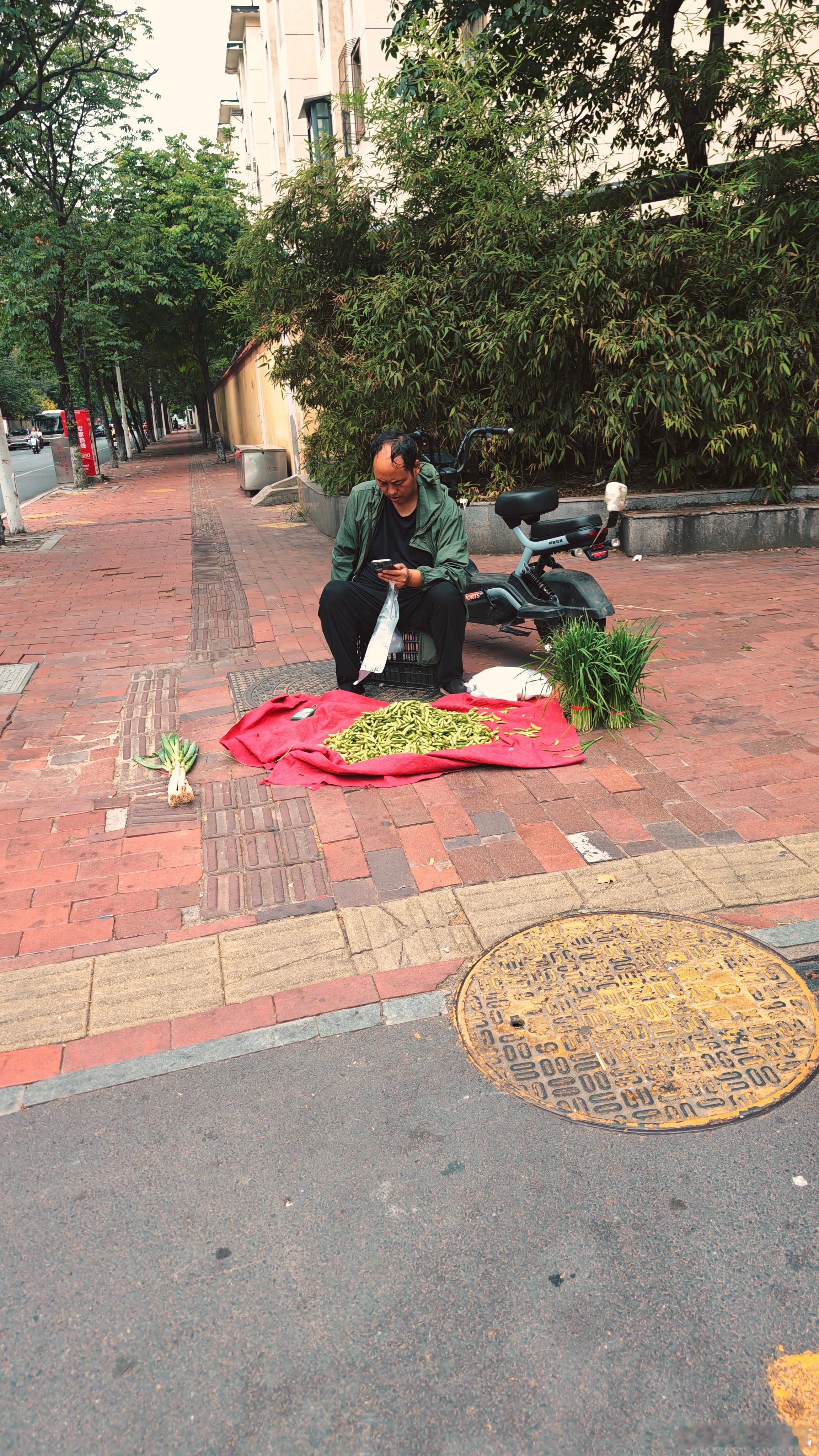 经一路红旗路路口，一把葱，一堆毛豆，两捆韭菜。谁爱吃水煮毛豆的话，我觉得，大概可