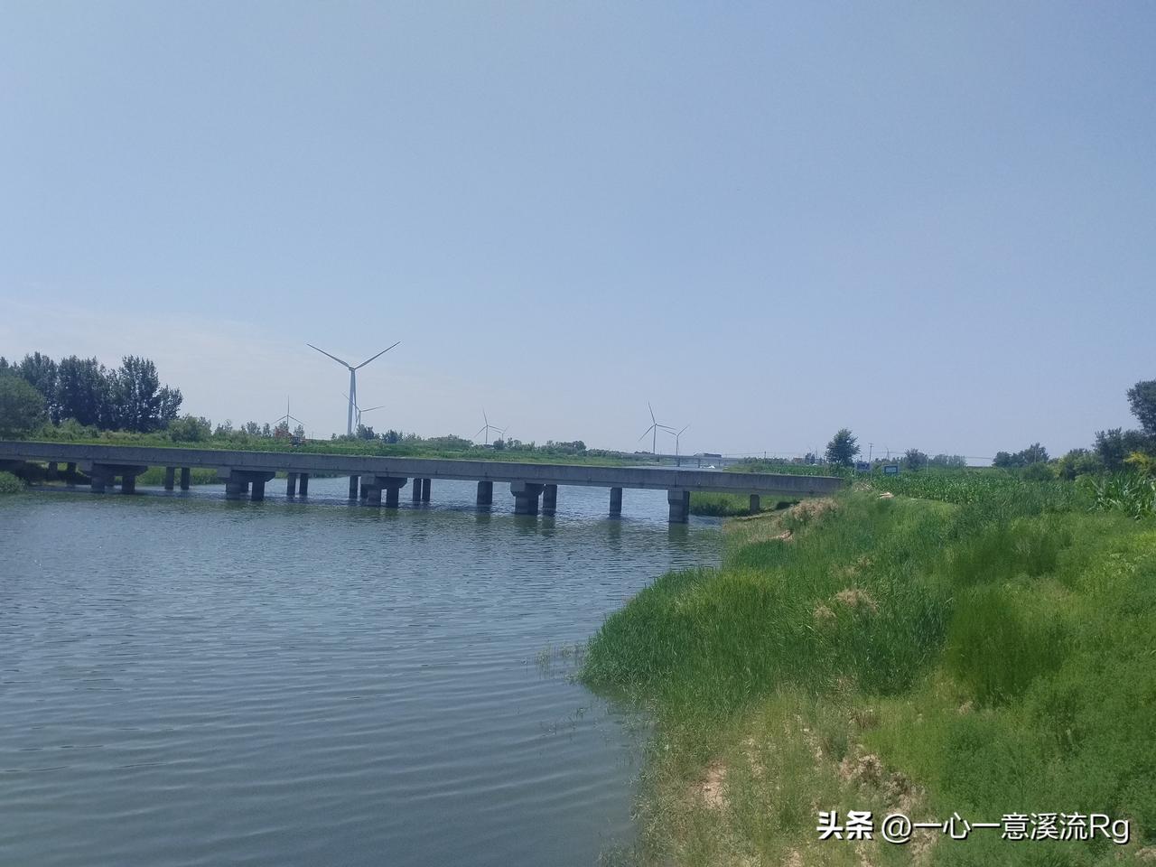 作者把海兴县夸奖的不错，县城里环境不错，我是当地人，也没觉多好，一方水土养一方人