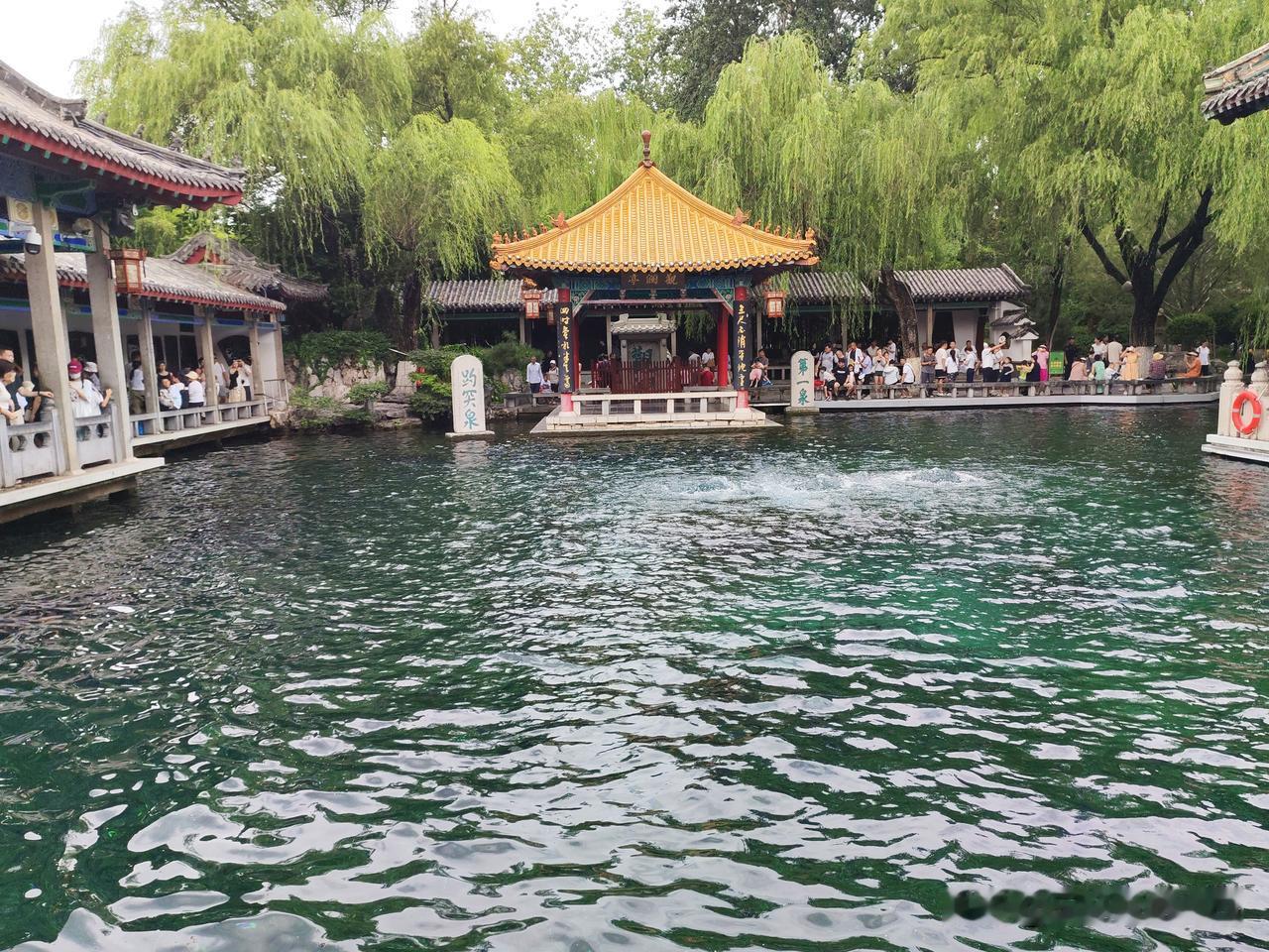 现在网络真的太重要了，尤其是对于有海外亲友的人。我发小之前出国，以前网络不好，我
