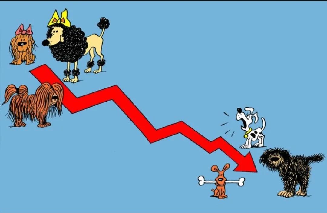 中国的股民非投资者，而是投机者。
真正的投资者是把钱投入到需要周转资金的上市企业