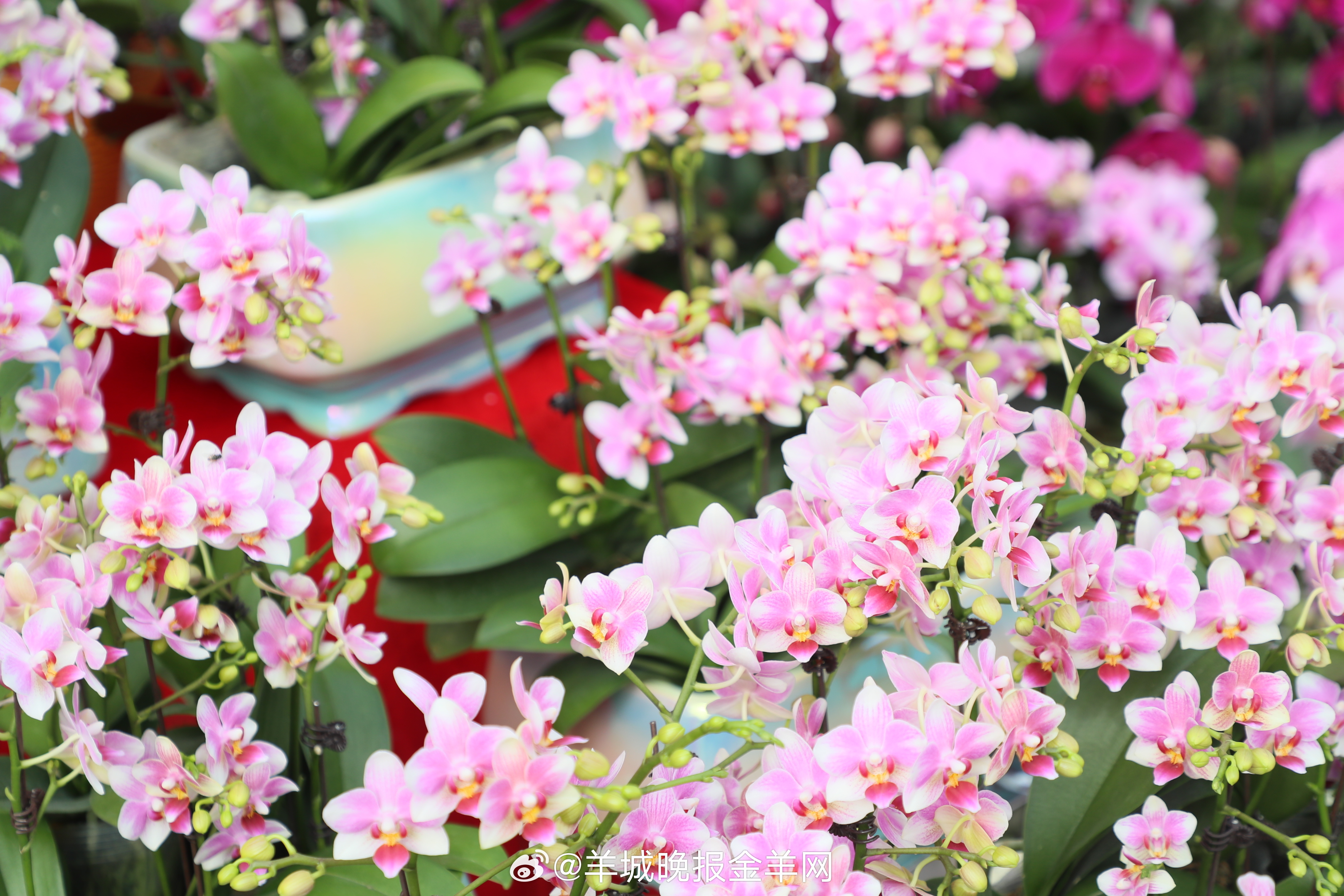 #晚安#当你感到精力不足，能量不高的时候，你可以为自己按下“暂停键”。起身下楼散