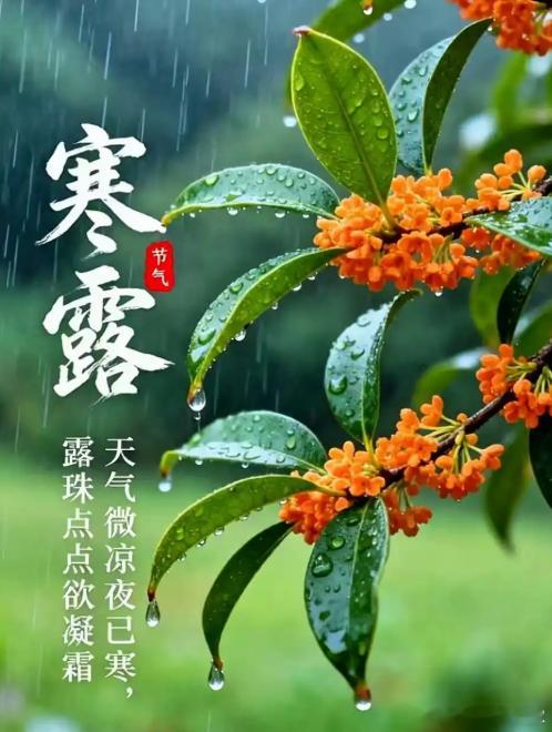 今天是二十四节气之一的寒露。已经晚秋深秋！送大家一首小诗：寒露·玄枢太阴渐重金气