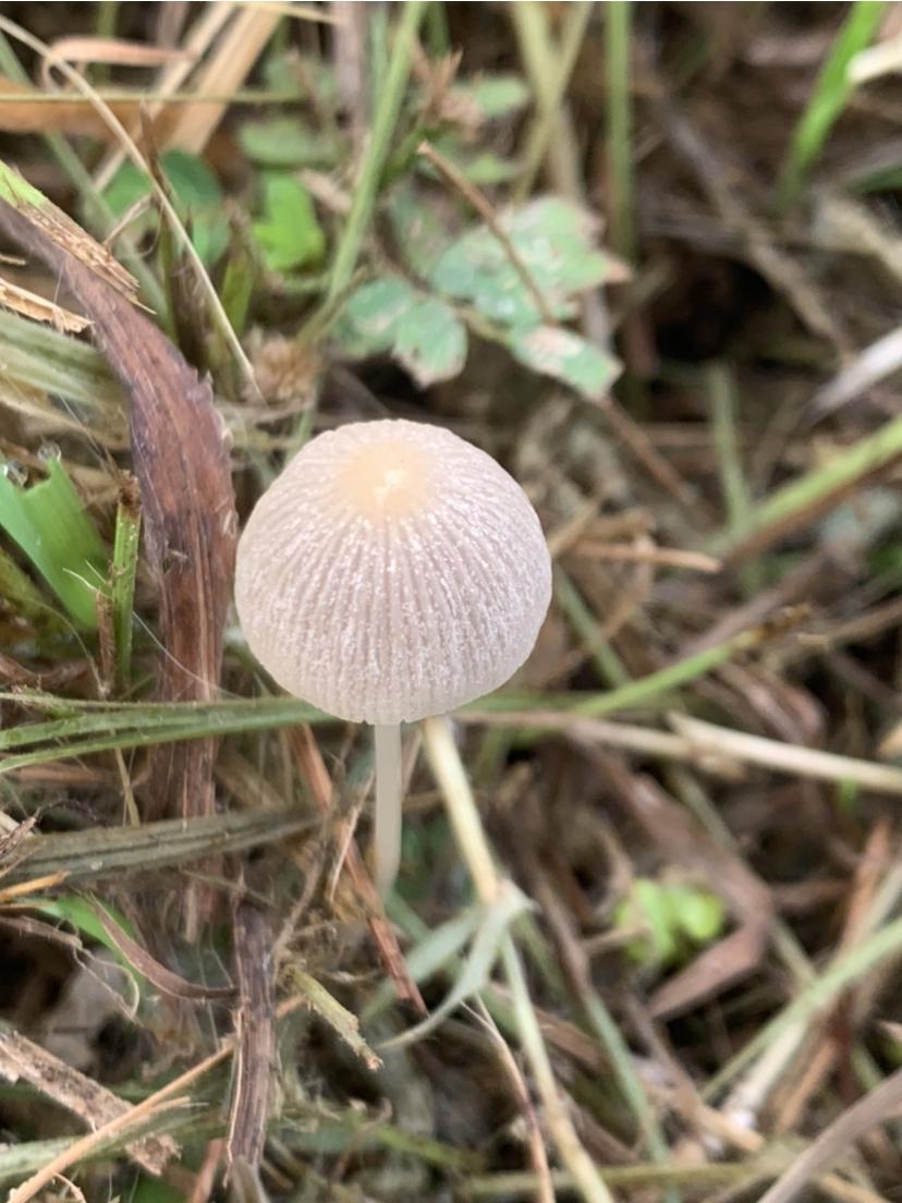 中灵山坠崖女子事件很奇怪啊！

首先，时间是2月14号，农历腊月27，大年前2天