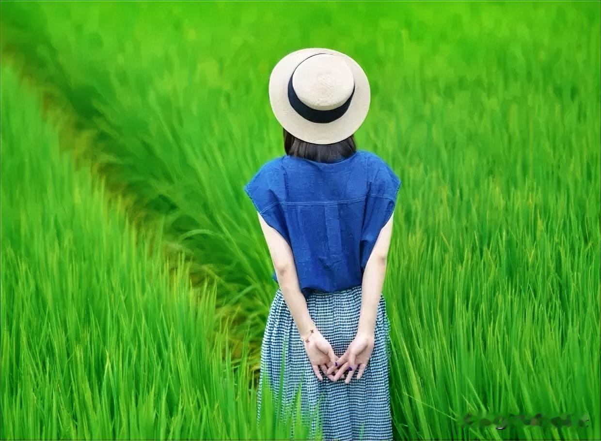生活从不缺美，缺的是一颗安然感知的心，是一份简单和谐的情。是窗边一缕暖阳，静静落