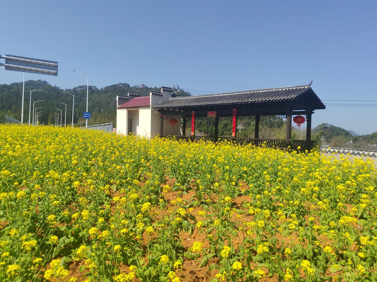 今天坐在办公室，敲击键盘的声音提醒我，春节结束了，从千里之外的家乡，回到了上班的