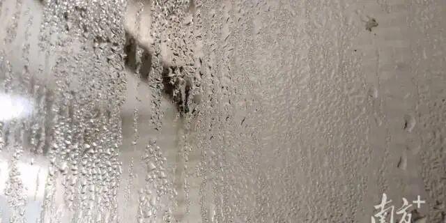 【广东人狂喜！今年可能没有回南天】衣服晾不干
地面能“漂移”
木质家具发霉
……