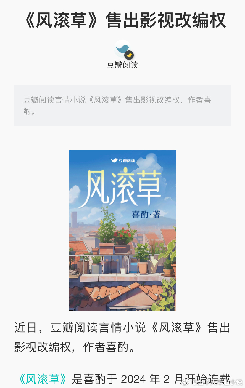 这小说包好看的🎬《风滚草》售出影视版权，这本小说我还没看过呢用一本书打开新年 