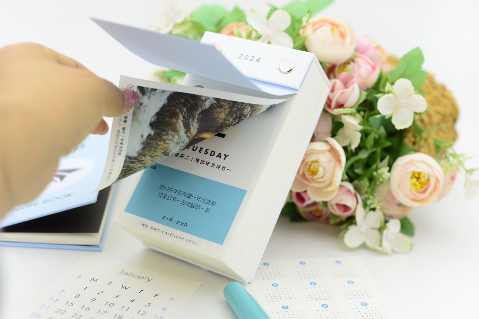 #100张年度旅行照片# 🐬这个抵达历📆真的太好用了巴掌大小的一本🗓️，拿