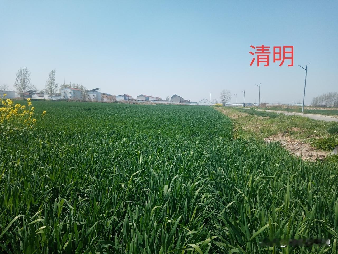 明日清明节
您知道吗
四大传统节日春节、清明节、端午节和中秋节
唯独清明节不属于