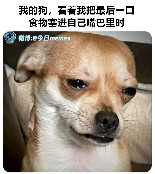 你怎么（9gag）今日meme 今日memes