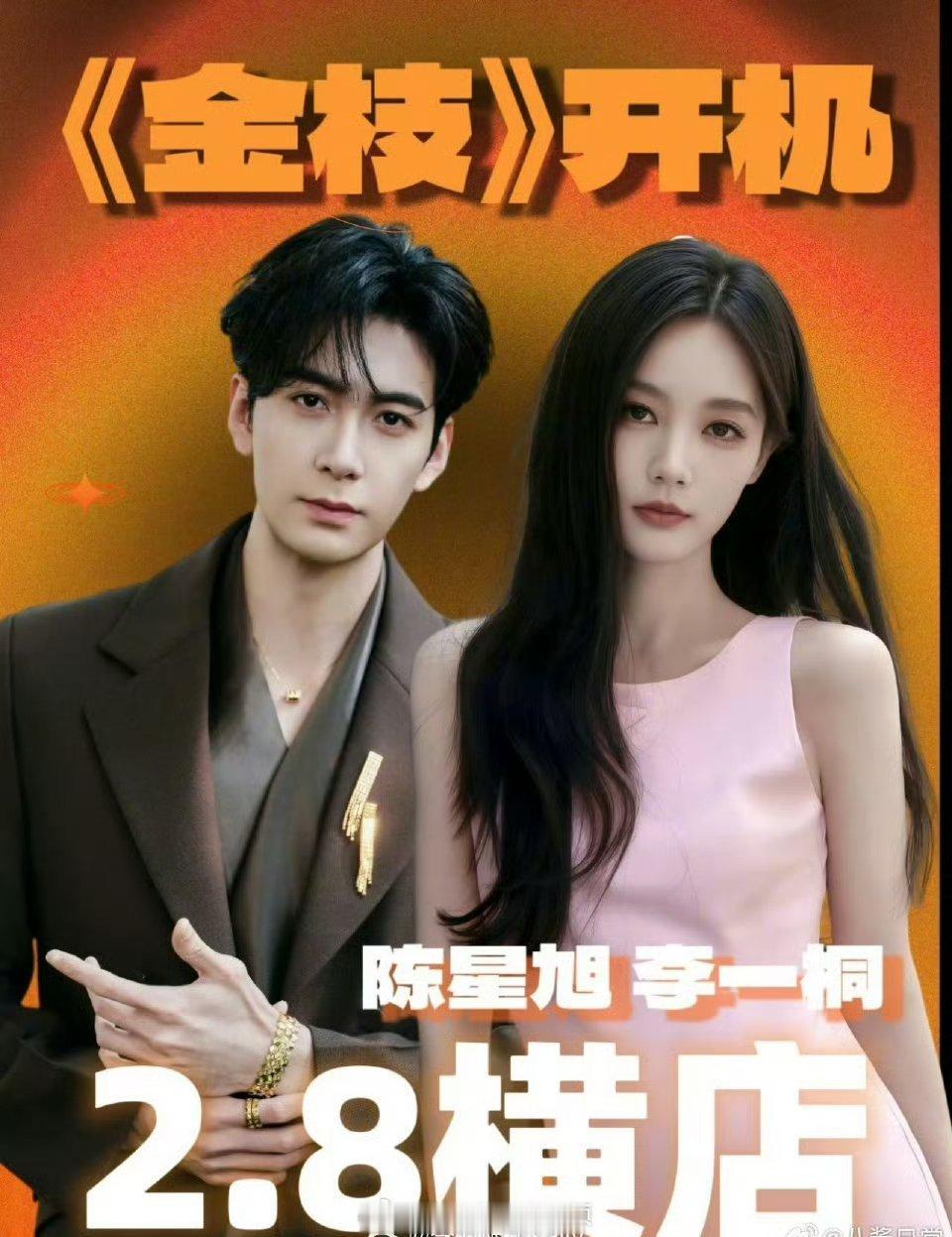 李一桐、陈星旭新剧《金枝》2月8横店开机