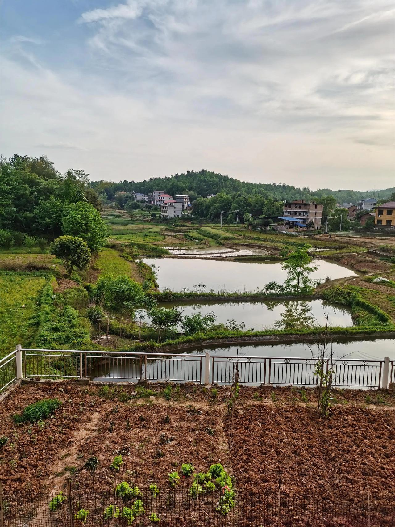我们普通老百姓就不去凑这个热闹了，高铁、飞机一票难求，高速路上堵车看风景，各大景