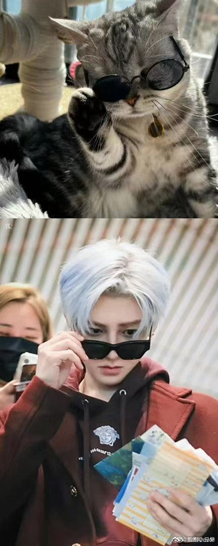 侯明昊银河左岸音乐节谁还没期待过侯明昊的音乐节舞台，这次银河左岸终于能看到，不管