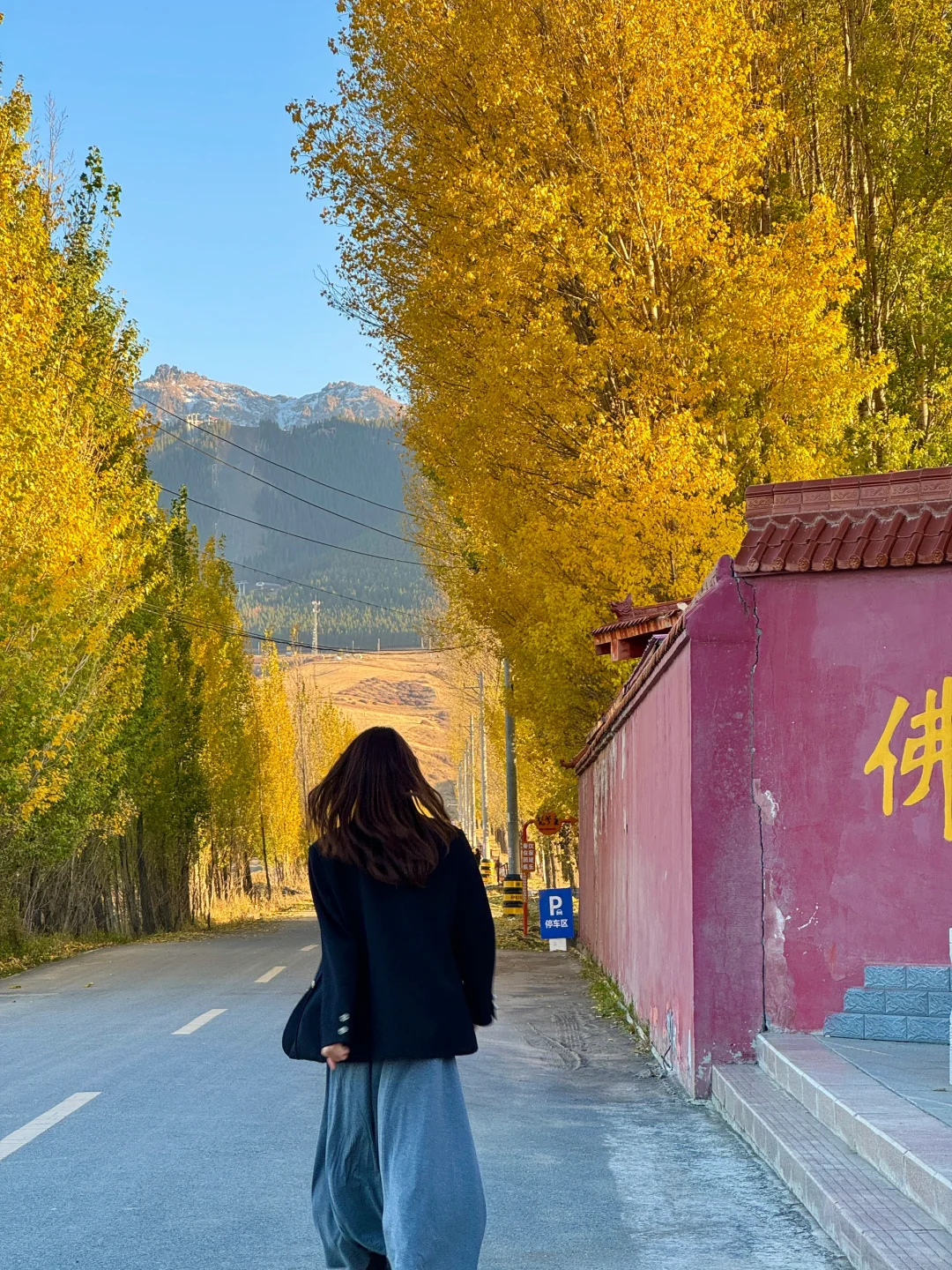 乌鲁木齐山脚下的古寺！！秋景美的岁月静好😭
