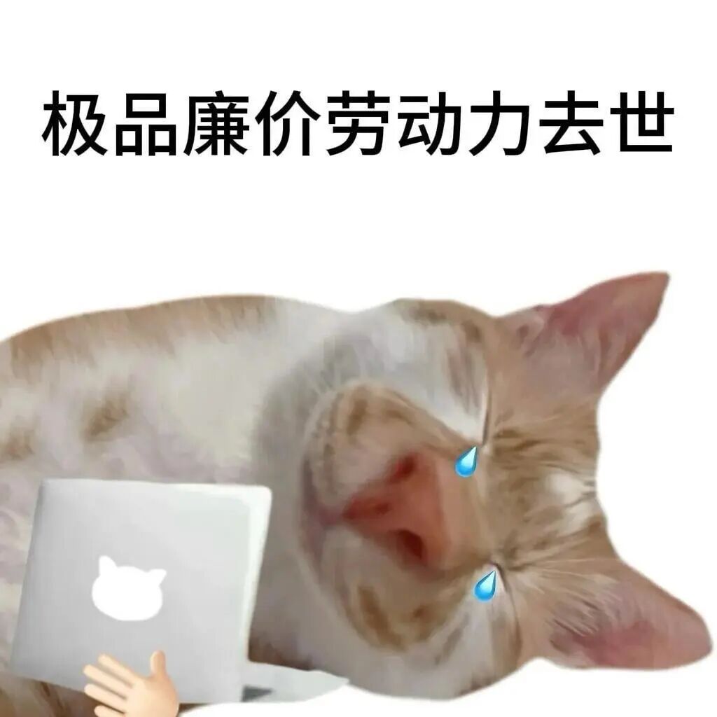 粽子甜咸随便选，加班早晚没得选 