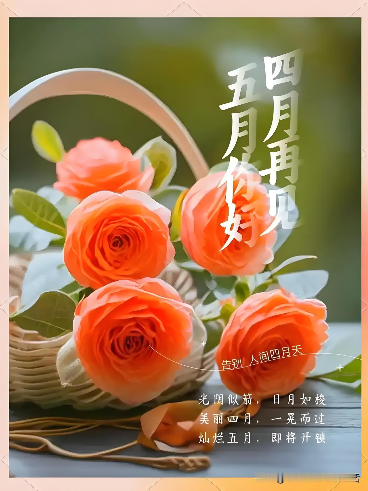 四月再见，五月你好，告别人间四月天，迎接灿烂五月！🌸🌸🌸