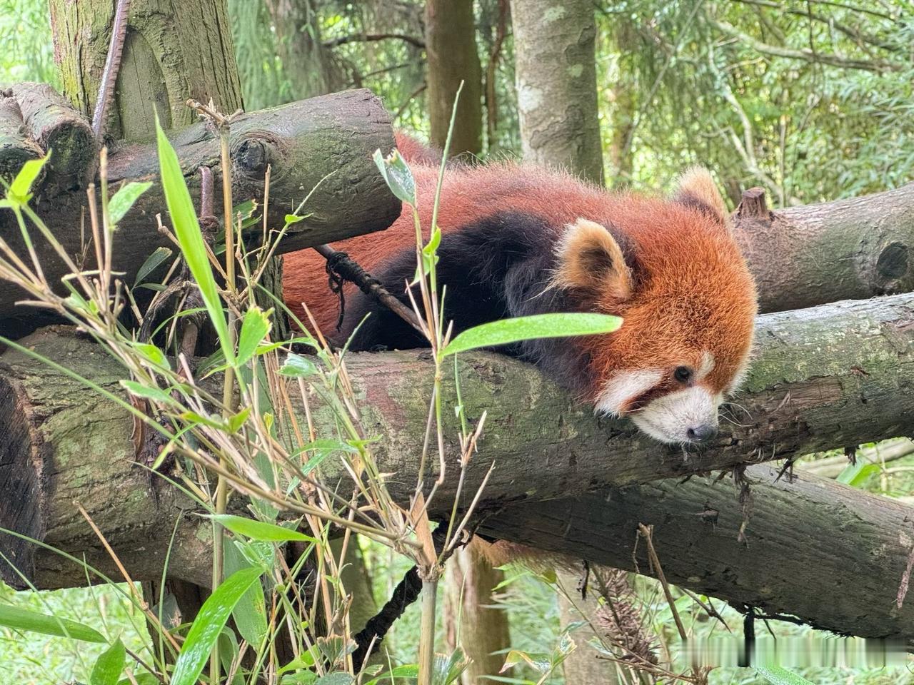❤️你信心满怀时，别人看见的就是光芒万丈的你；当你沮丧失落时，别人看见的就是不值