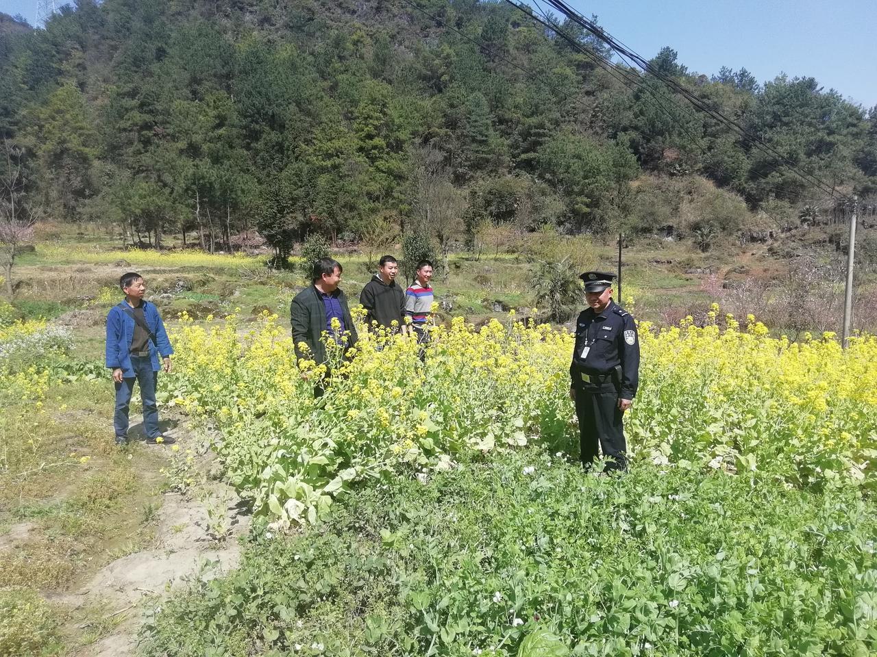 春季禁毒踏查又开始了，今天看到镇村干部纷纷到村里巡查，哪里偏僻往哪里去，哪里破旧
