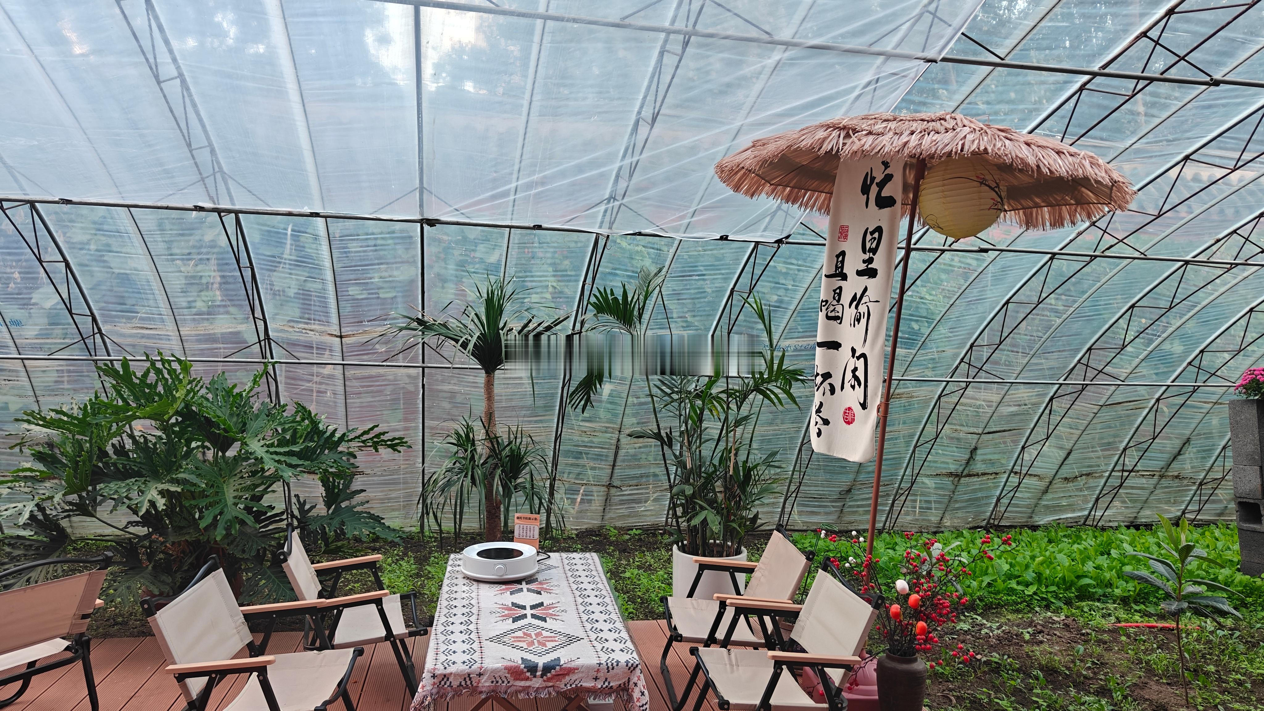 交换假期漂流瓶十一出片打卡 今日摆烂~ ​​​