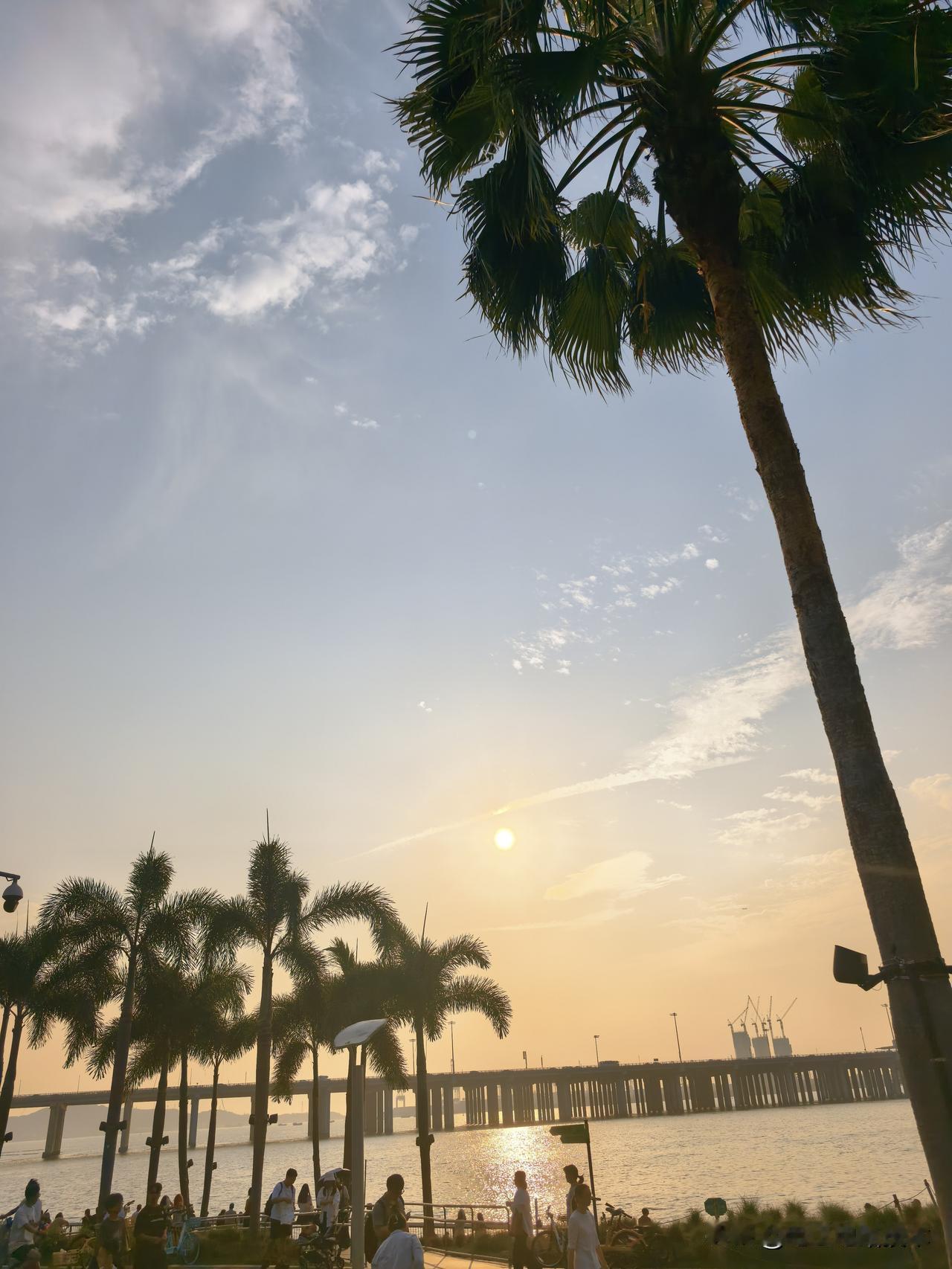 日落时分的海边，简直是人间宝藏！
我上次去海边，日落时那景色绝了。太阳像个大火球