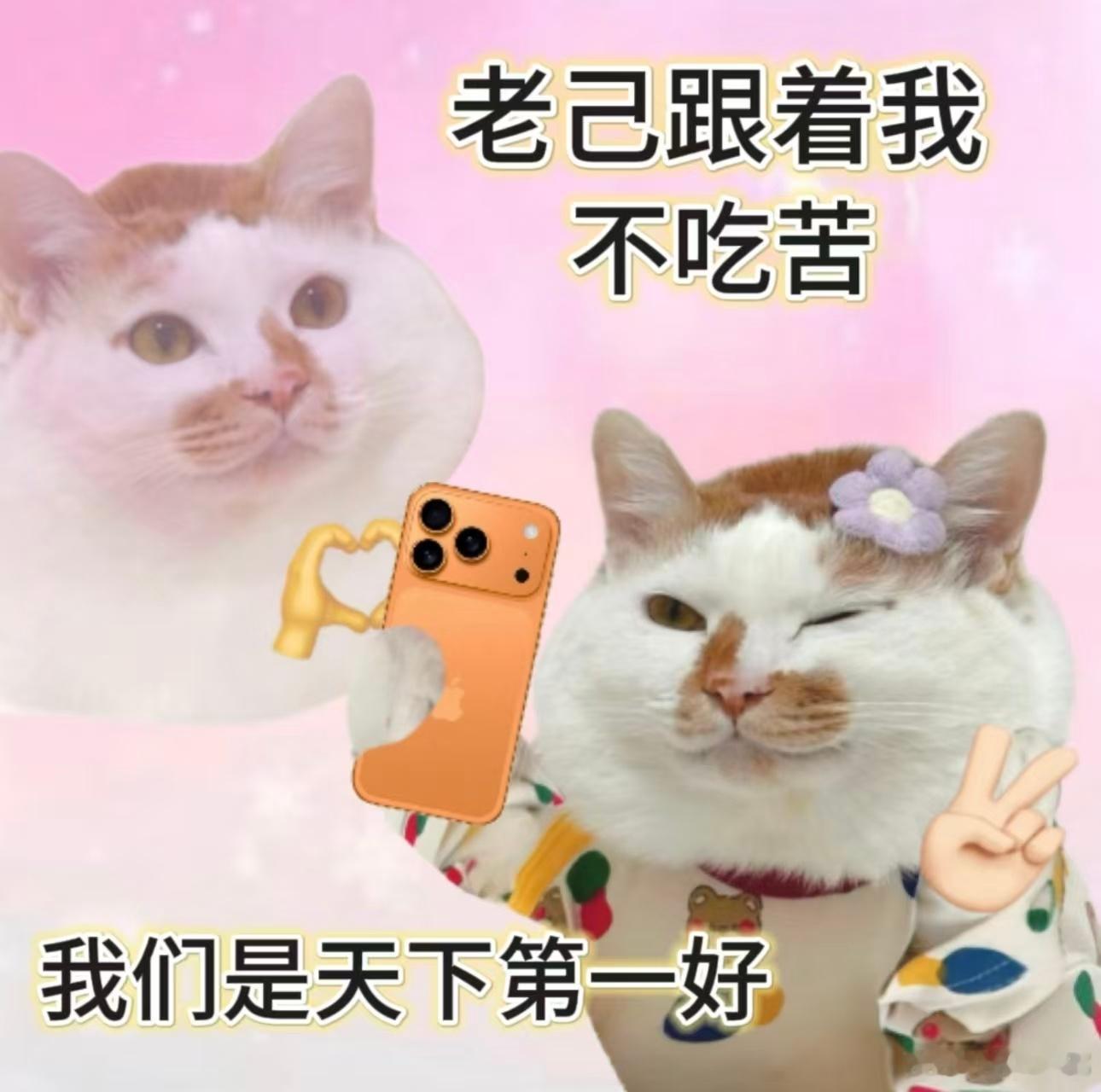 小寒已至多地竟还在高温模式 说好的小寒凛冬将至呢，结果我们这儿还在高温徘徊，早晚