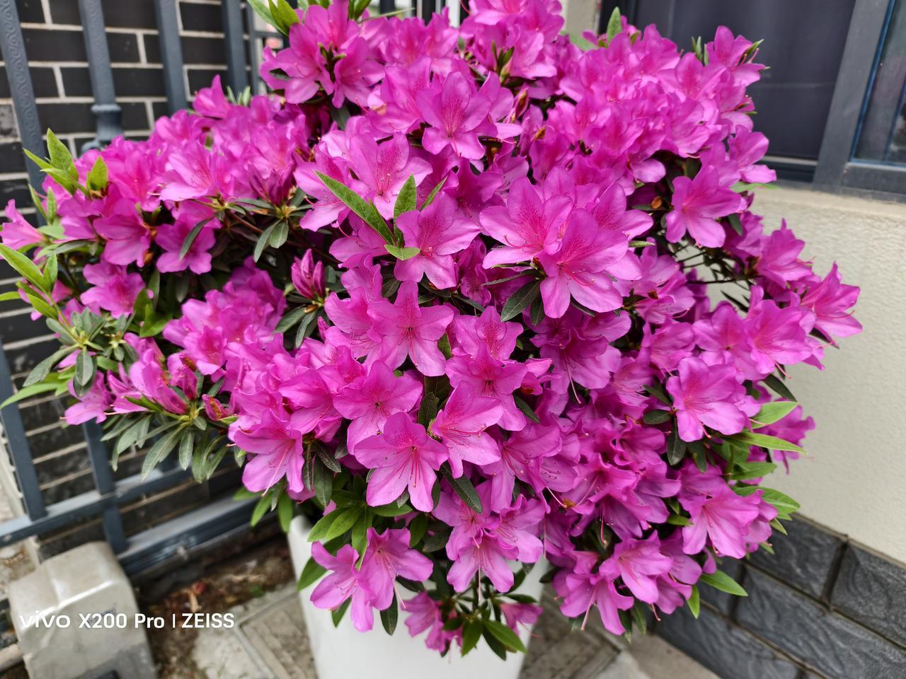 看住养老院姐姐所想
      昨天上午我去看了养老院的陈姐姐和哥哥。认识他们是