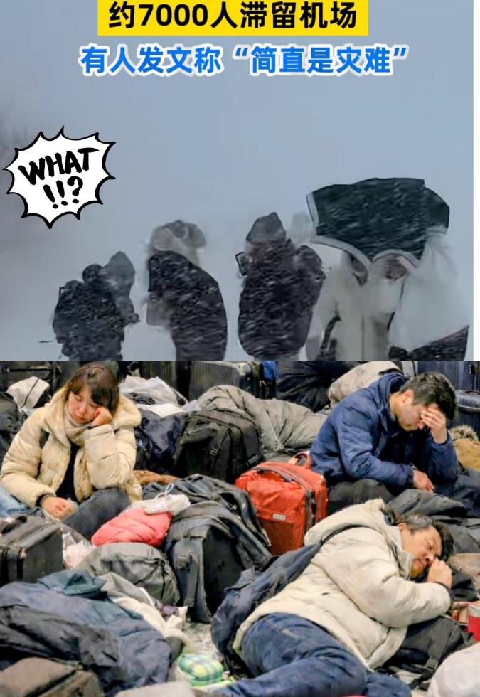 “求救！被困北海道机场，急求国家派包机接我们回国！” 最近，互联网上的一些声音，