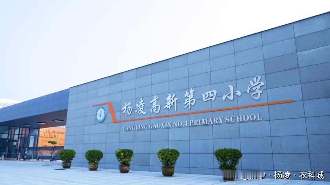 杨凌小学新顶配:公办收费，高端顶配！高新四小入学报名资格 杨凌 
入学报名资格：