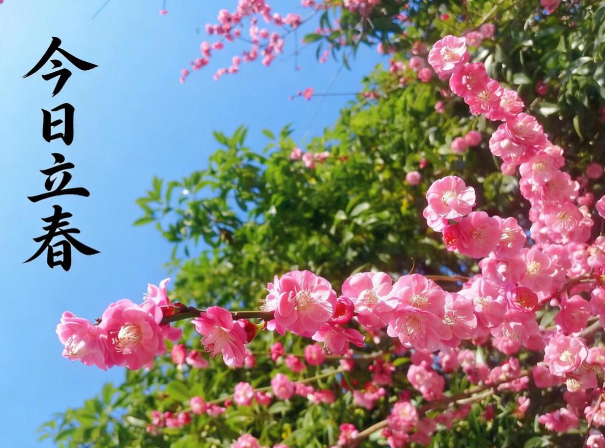 立春守好4件事，一年安康不犯忌

今日立春，看到立春两字，我仿佛看到了大自然的绿