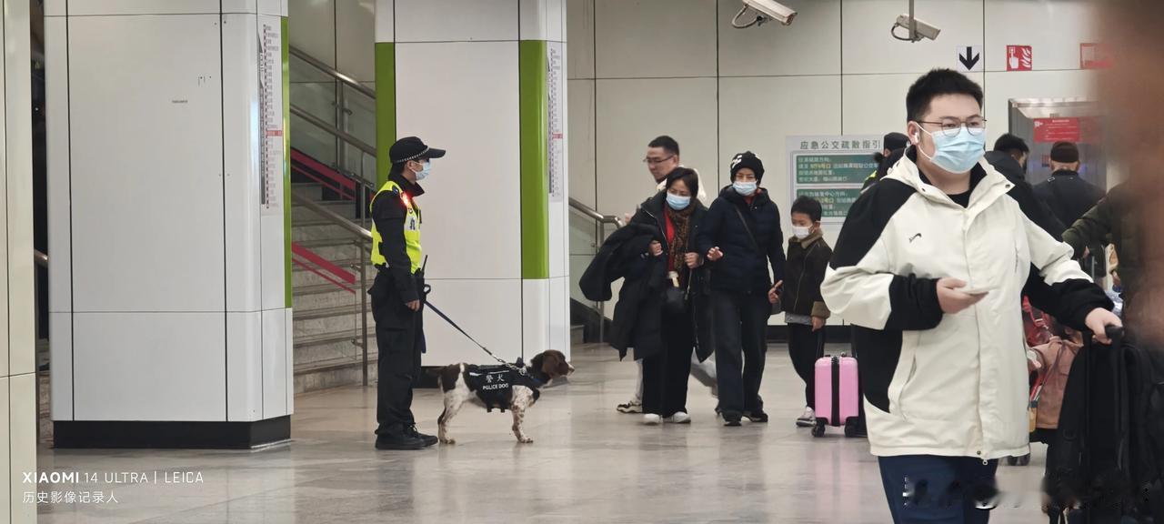 安保升级真好！保安牵狗狗上岗！