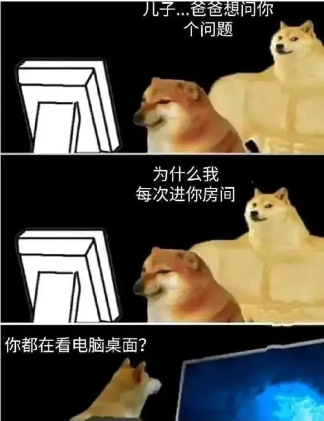 每次你都在看电脑桌面哈哈搞笑图片梗图合集