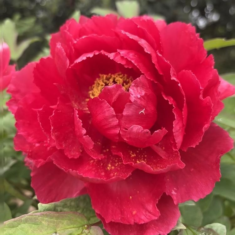 分享一下你随手拍下的照片