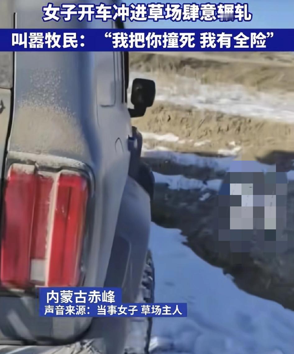 内蒙古赤峰一名自称为网红的女子，开着越野车，进入当地牧民的草场，与其发生争执，莫