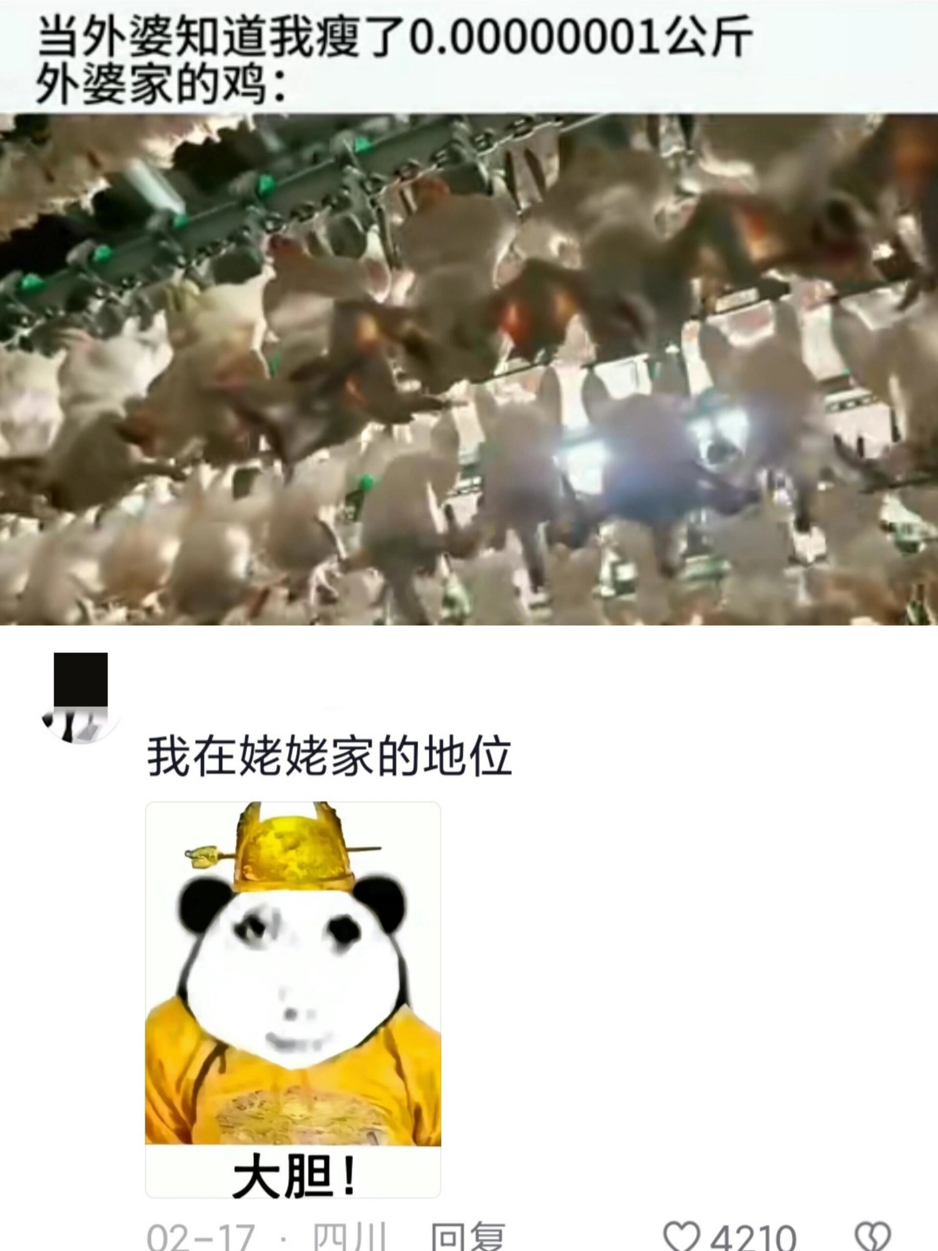 外婆家的🐔：不好，有杀气 ​​​