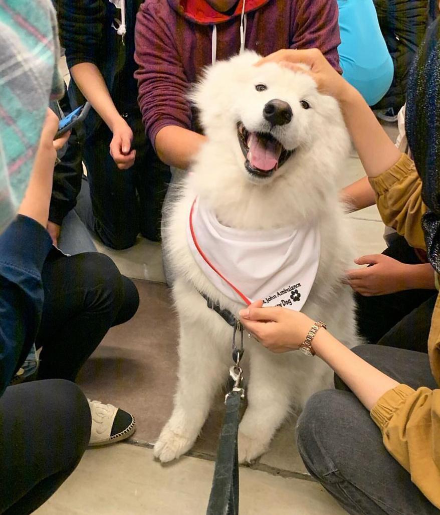 再坚持一下耶，马上就周末啦 ​​​
