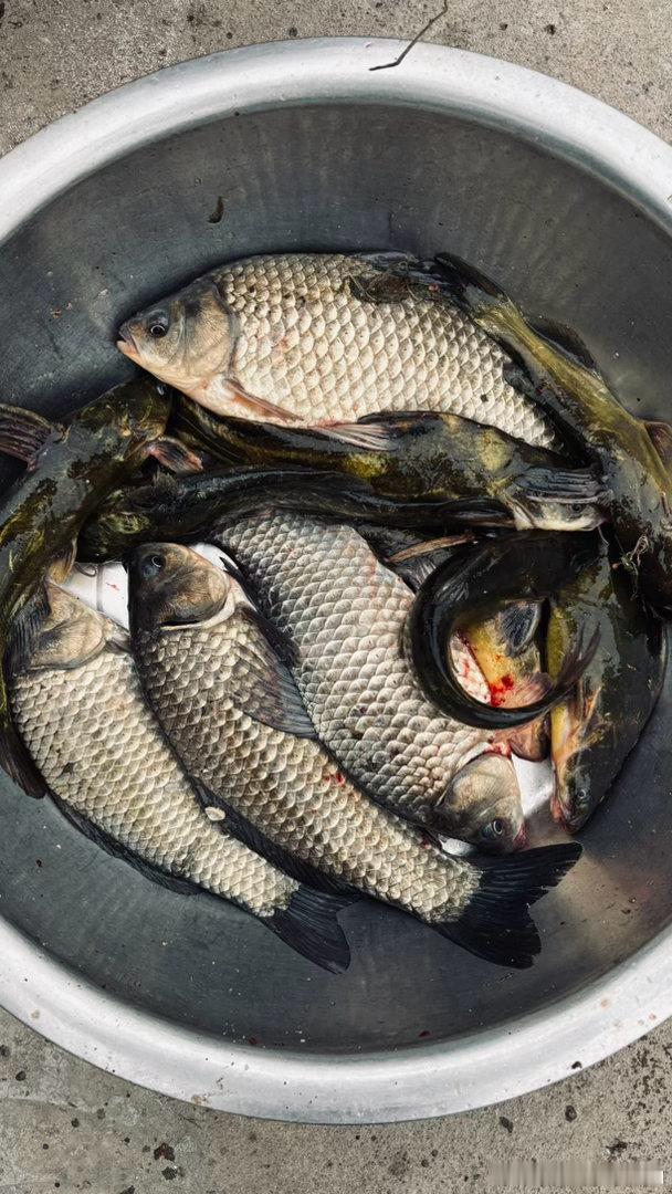 真实的社会：30岁普遍拥有40岁的身体，40岁普遍拥有60岁的身体。男性从40岁