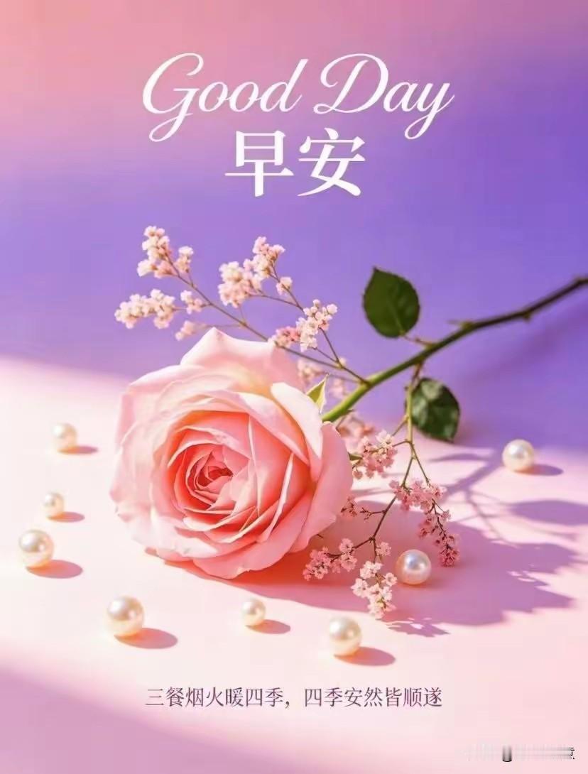 早安，美好心情从早晨开启！花开富贵，四季平安。