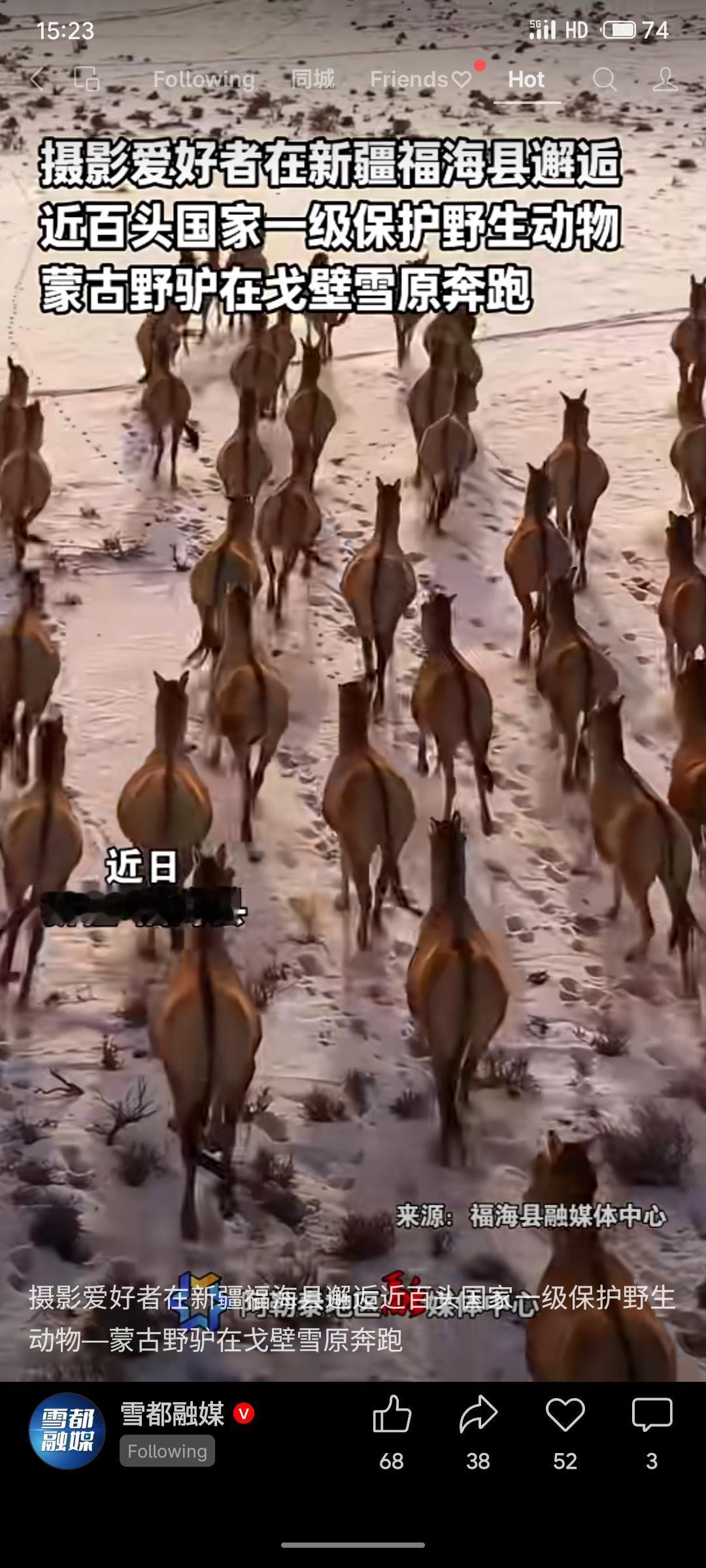 近日在新疆福海县，摄影爱好者拍摄到近百头国家一级保护野生动物蒙古野驴在戈壁雪原上