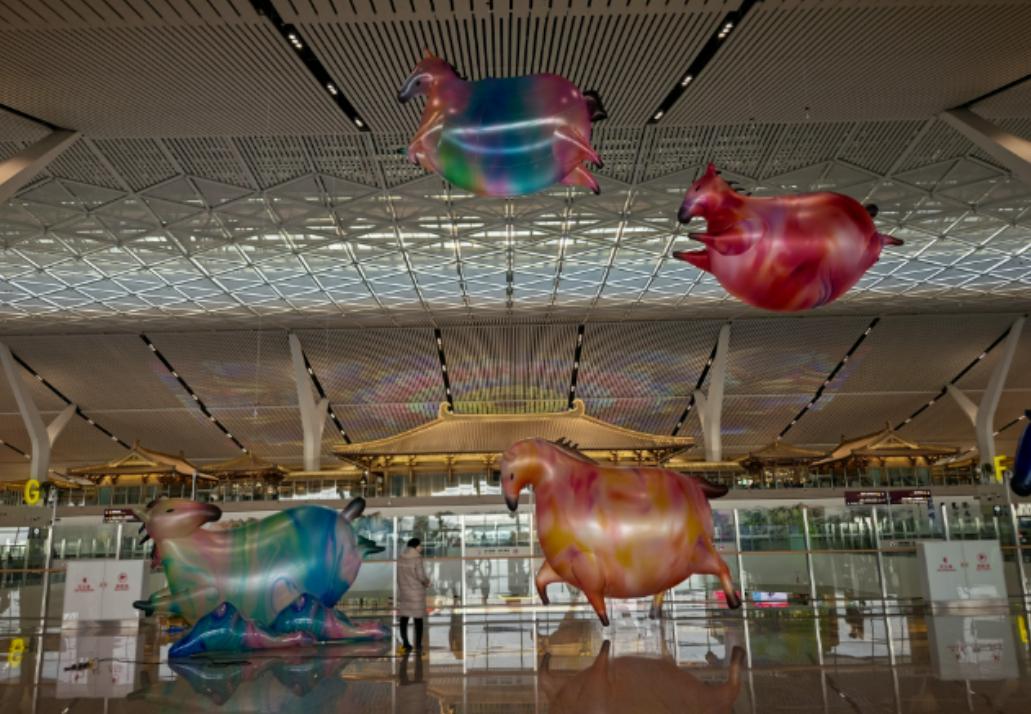 全世界也只有西安，能干出这样的事——机场扩建挖出4000多座古墓，干脆在航站楼里