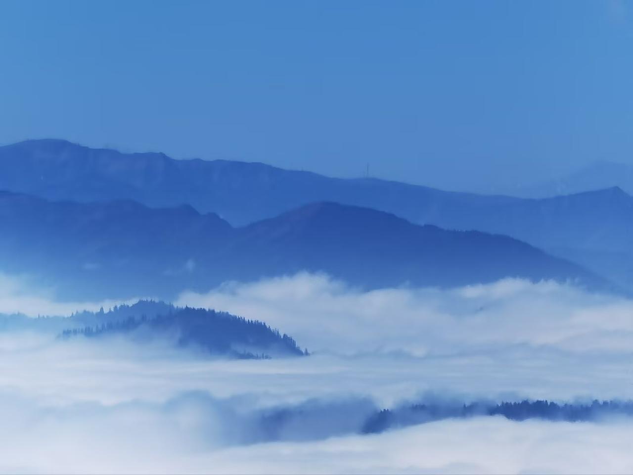别纠结，不适的就舍弃，此刻做不到的，来日再突破。
生活最美的姿态：不屈从，不谄媚