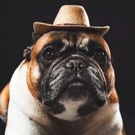 年底了，大家出门尽量小心，别问我为什么。