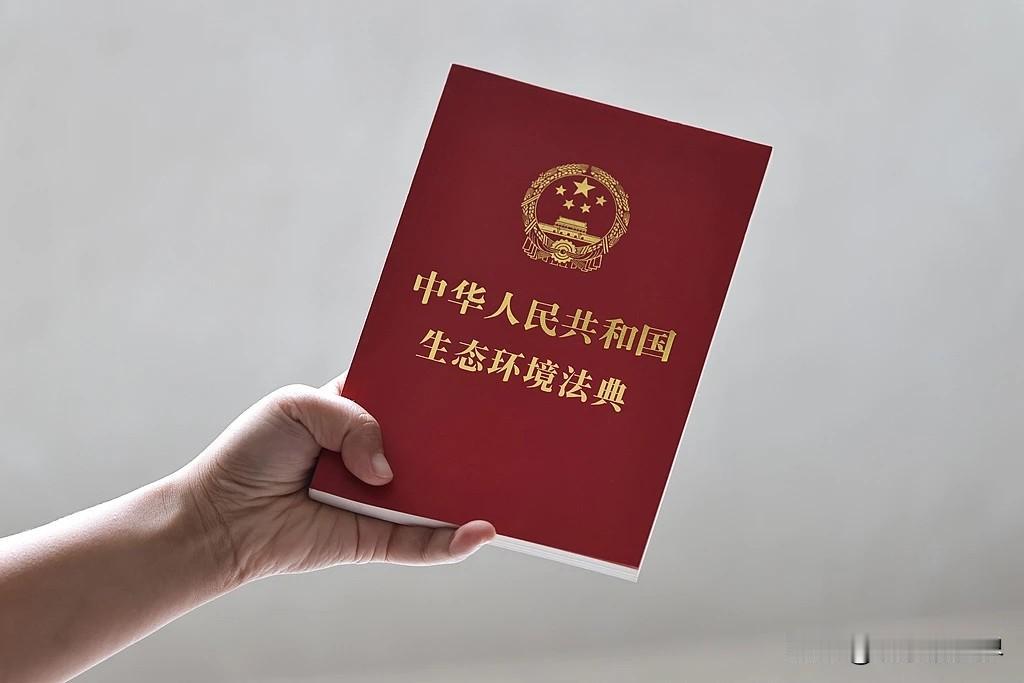 广场舞扰民如何界定？怎样调解或避免扰民？小区装修噪音扰民如何处理？
      