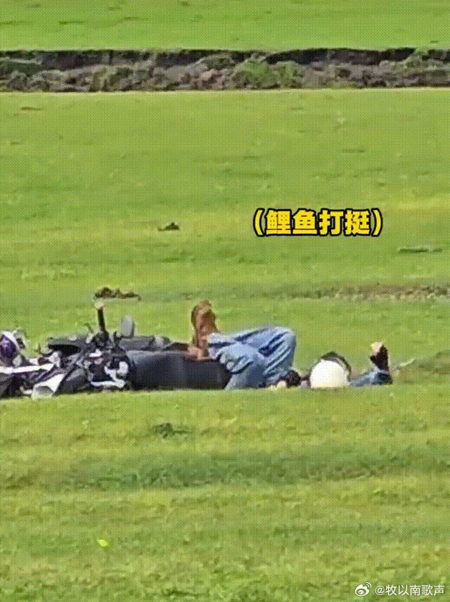 邵子恒骑车摔跤还有endingpose这ending pose我给满分，邵子恒不