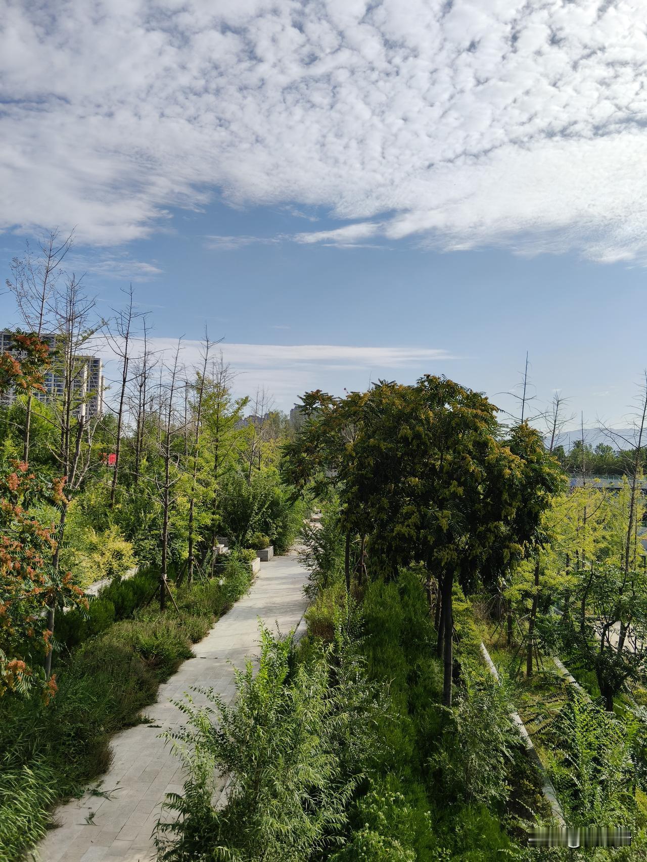 彭家坪都市休闲公园当然是位于彭家坪了，其实今天我也是第一次来到了彭家坪，发现彭家