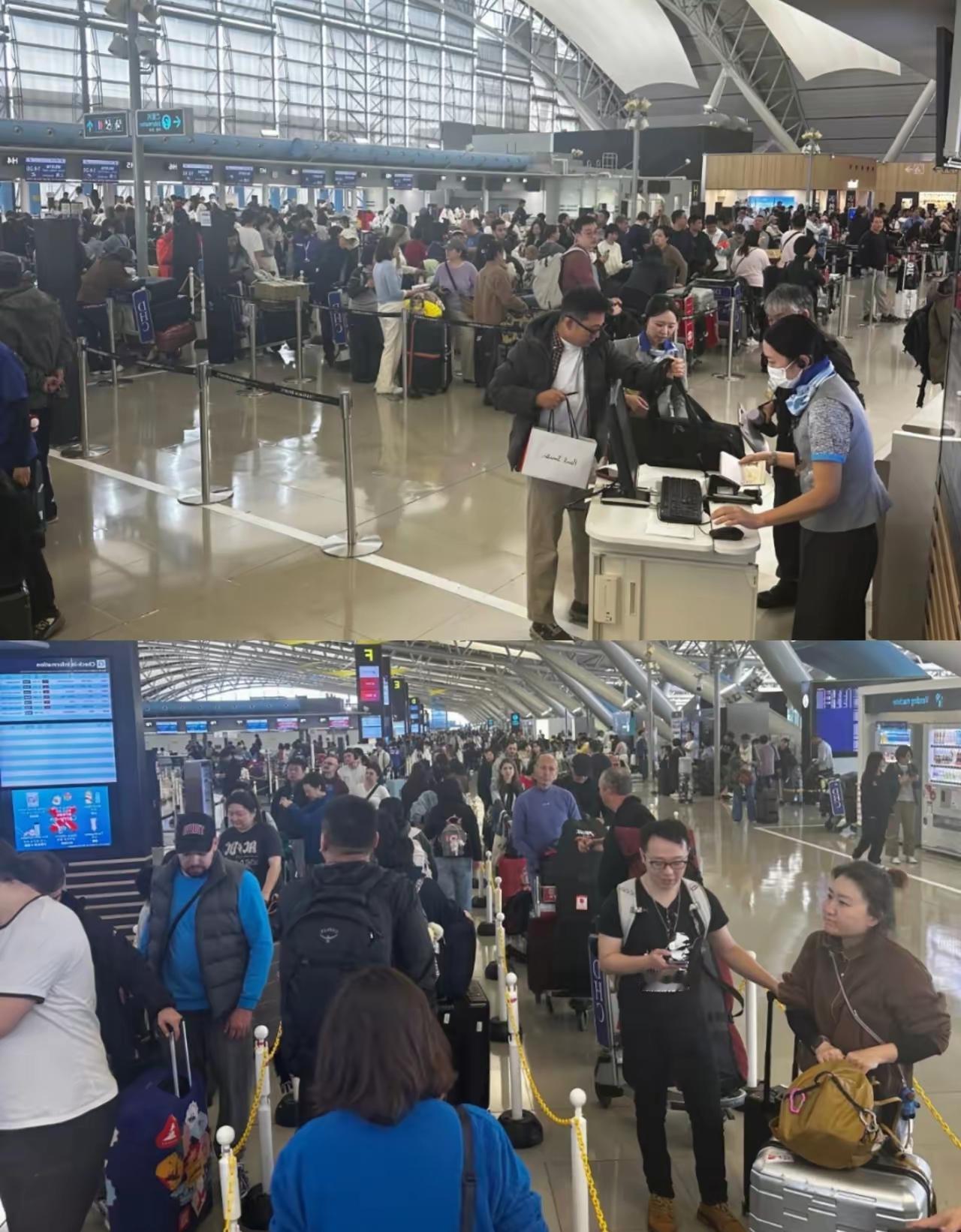 不听话，
就是这样。
日本那几个大机场现在真是乱成一锅粥了，大厅里挤满了急着想回