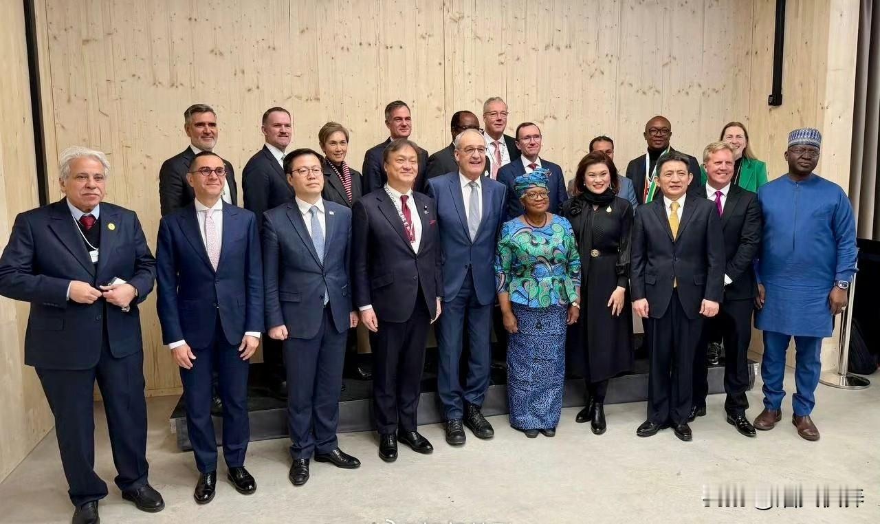 李成刚出席2026世界经济论坛年会。1月22日，瑞士联邦主席兼经济、教研部长居伊