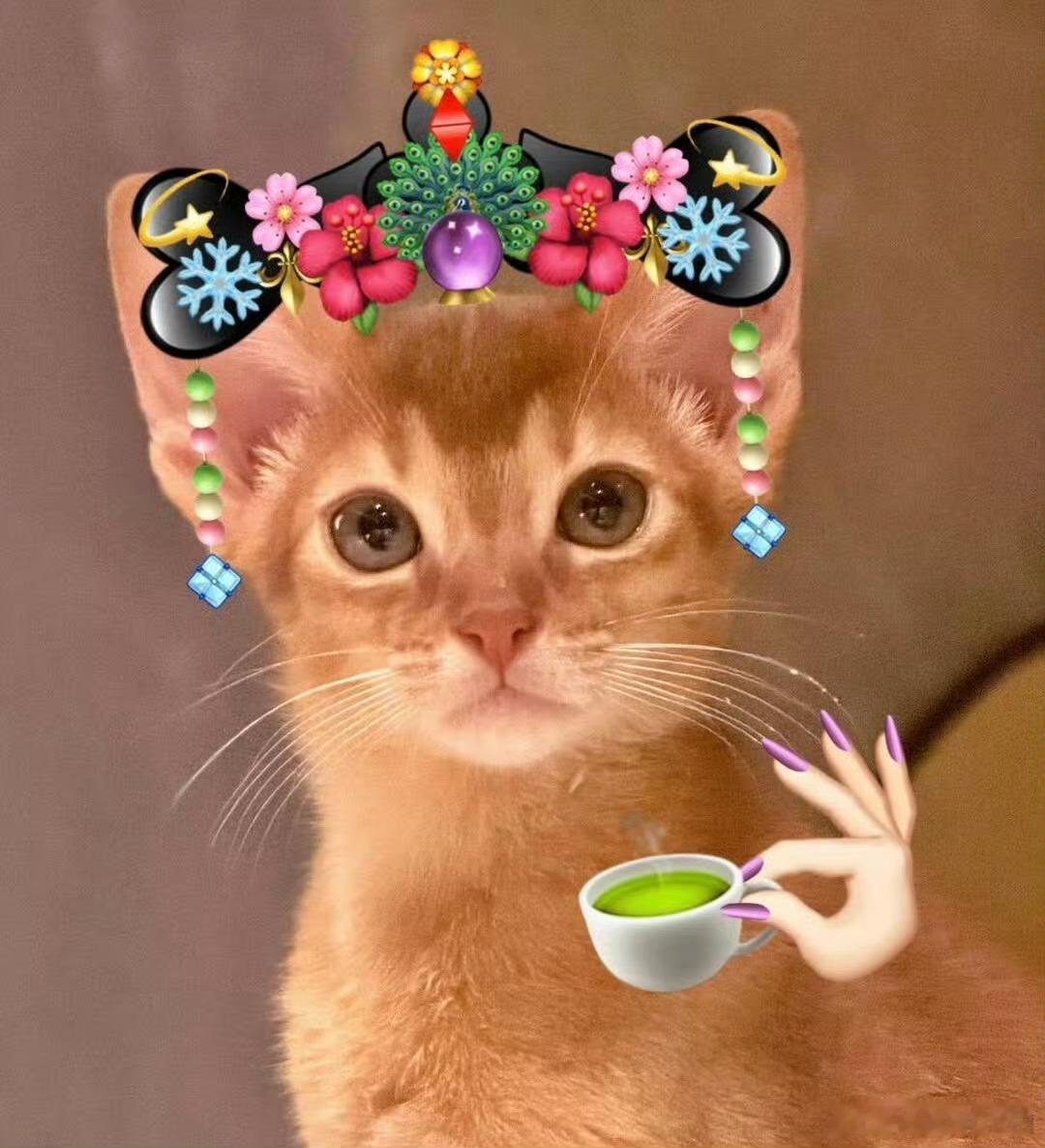 超话大赏🔮梓渝未来可期🔮新人演员梓渝 日落跌进昭昭星野，人间忽晚，山河入秋，