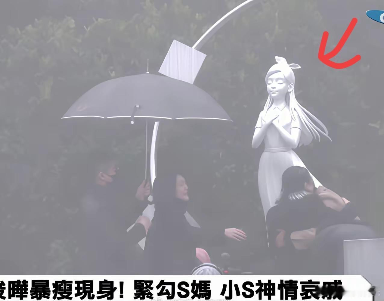 大S雕像终于露出真面目，
原来她在具俊烨心中永远是这样子的。
​
​今天是大S逝