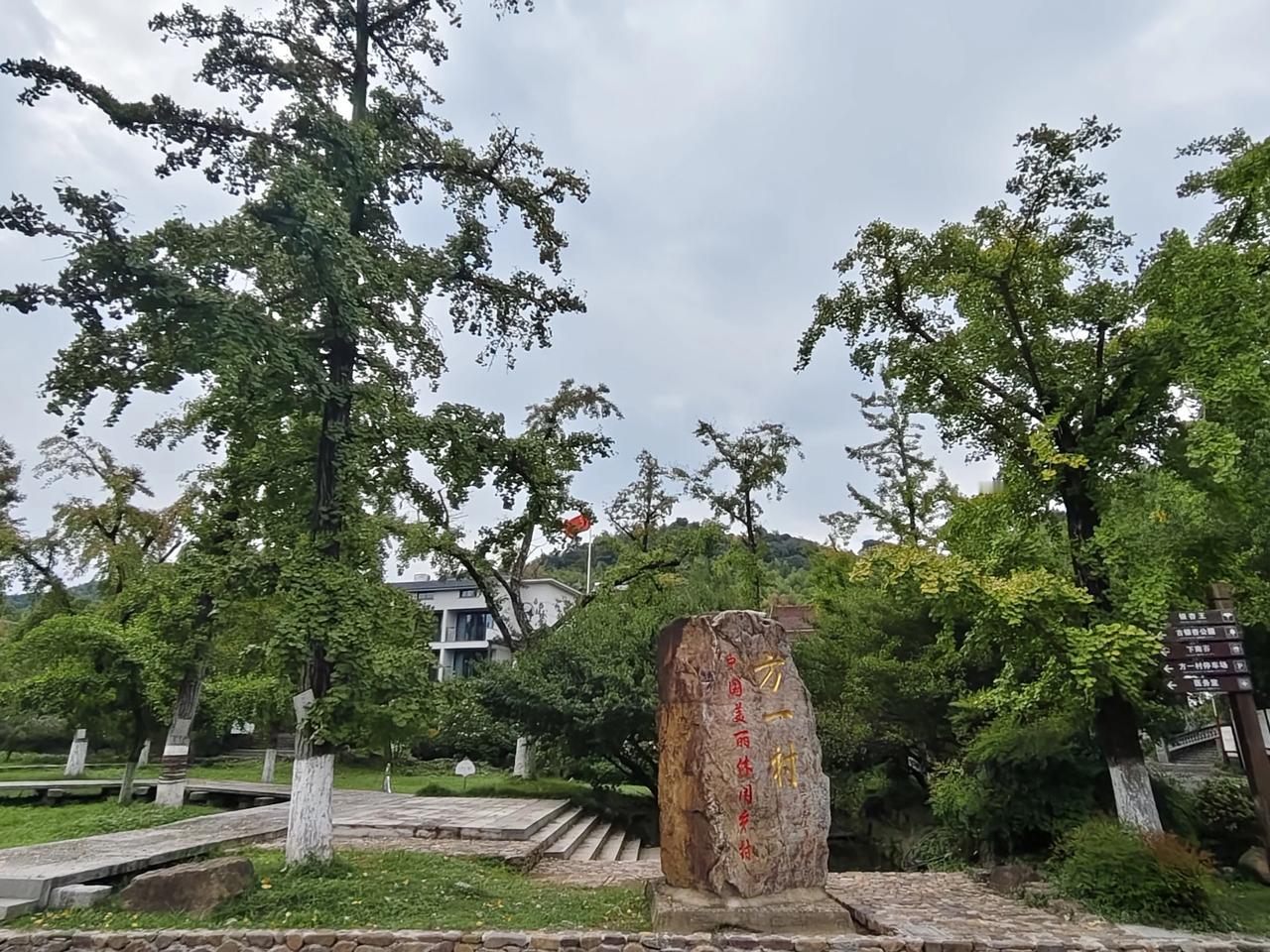 
周日，古银杏公园打卡。
银杏古树遍地是，舒适民宿处处有。
野花盛开，桂树飘香！
