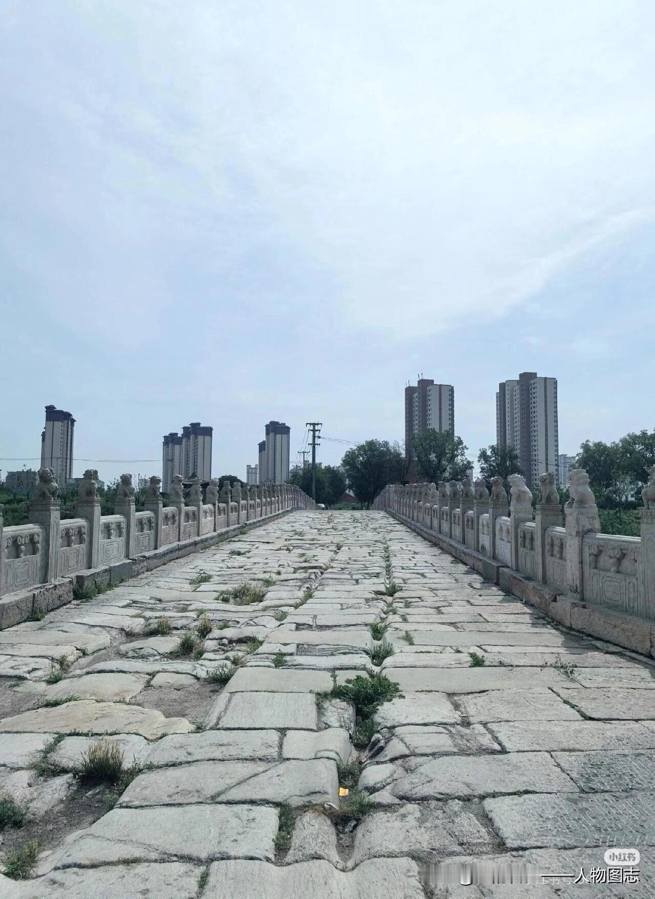 冬日生活打卡季